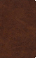 ESV Large Print Thinline Bible (TruTone. Deep Brown)