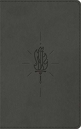 ESV Kid's Bible. Thinline (TruTone. Sword of the Spirit)