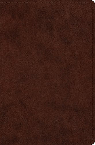 ESV Compact Bible (TruTone. Brown)