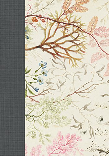 ESV Study Bible (Elegant Grace)